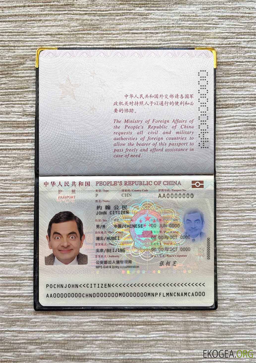 Aperçu de la photo du passeport chinois (2013 présent)